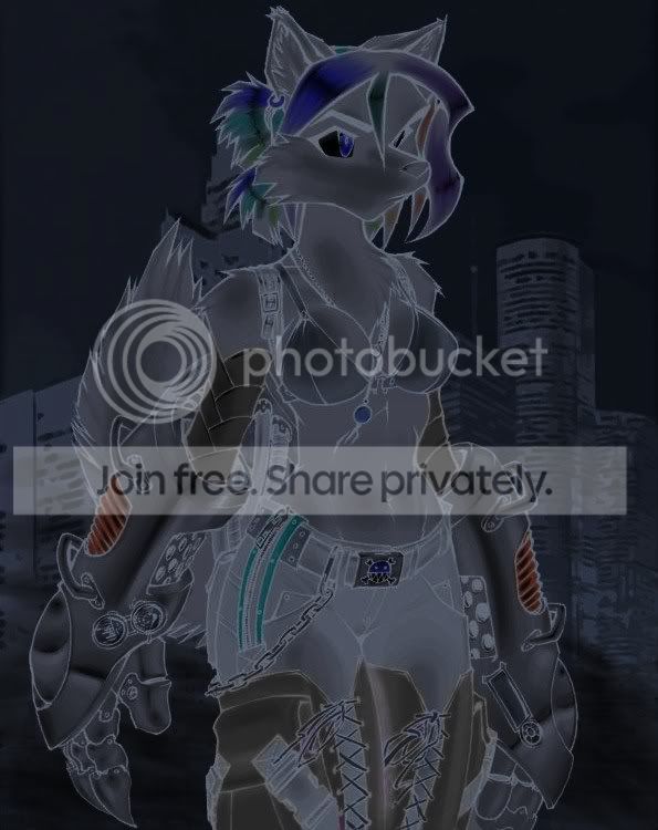 User Image